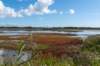 friesland_079_small.jpg