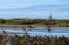 friesland_080_small.jpg