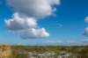 friesland_082_small.jpg
