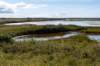 friesland_083_small.jpg