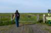 friesland_090_small.jpg