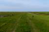 friesland_091_small.jpg