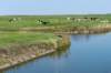 friesland_092_small.jpg