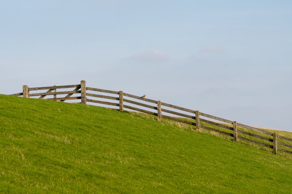 friesland_098.jpg