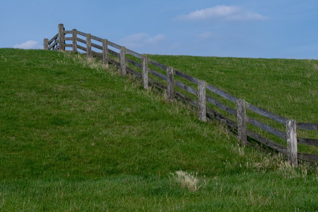 friesland_100.jpg
