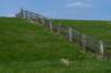 friesland_100_small.jpg
