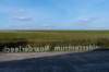 friesland_101_small.jpg