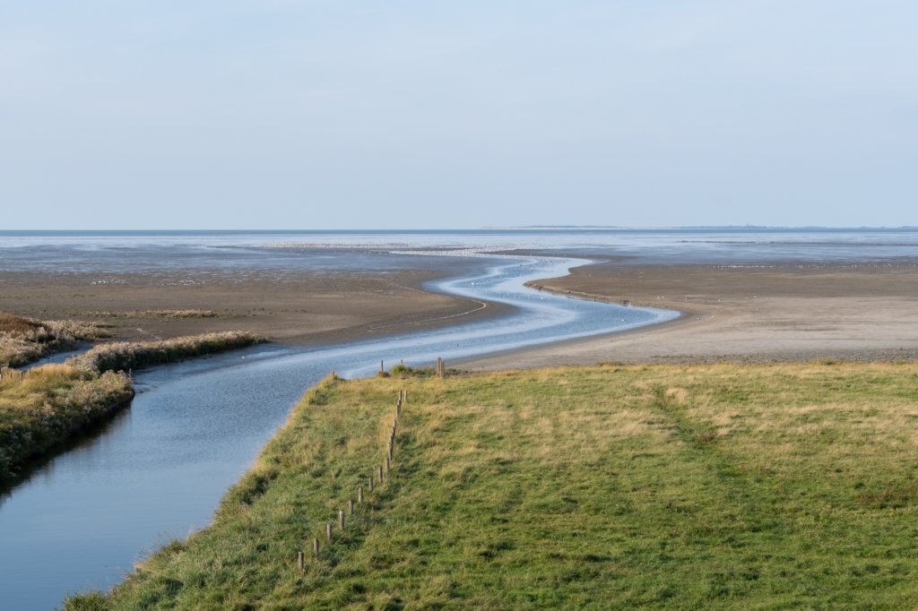 friesland_105.jpg