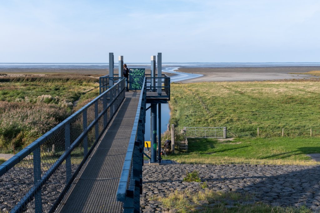 friesland_108.jpg