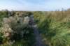 friesland_110_small.jpg