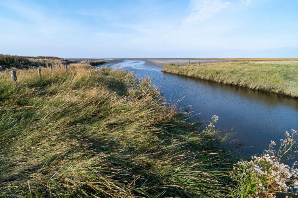 friesland_111.jpg
