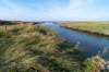 friesland_111_small.jpg