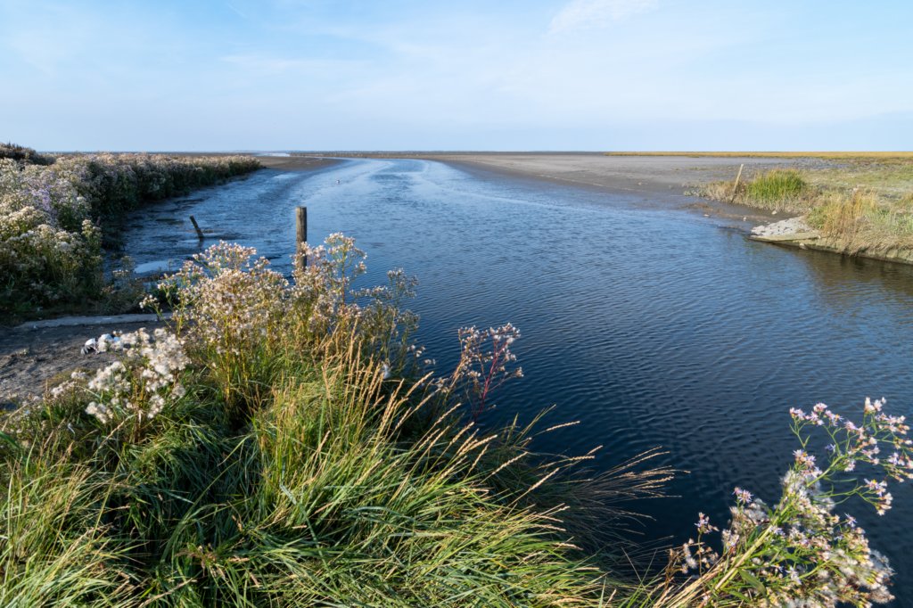 friesland_113.jpg