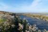 friesland_116_small.jpg