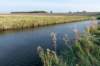 friesland_118_small.jpg