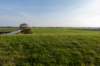 friesland_119_small.jpg