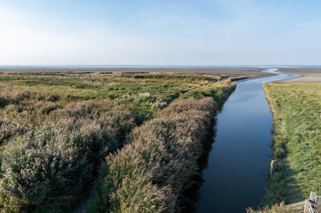 friesland_121.jpg