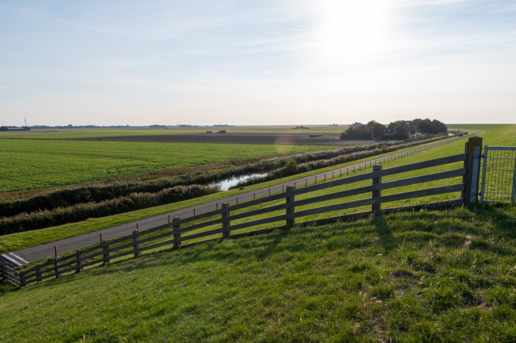 friesland_124.jpg
