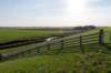 friesland_124_small.jpg