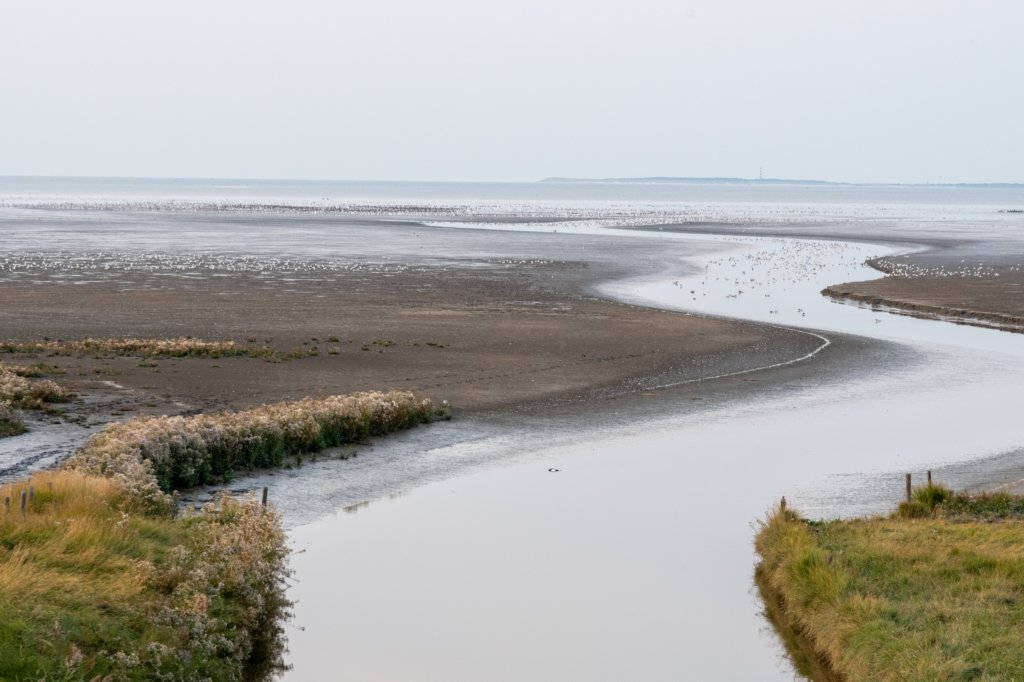 friesland_131.jpg