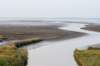 friesland_131_small.jpg