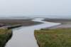 friesland_133_small.jpg