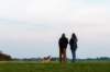 friesland_134_small.jpg