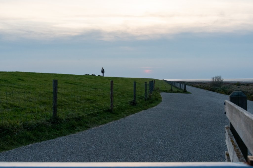 friesland_136.jpg