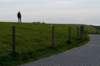 friesland_139_small.jpg