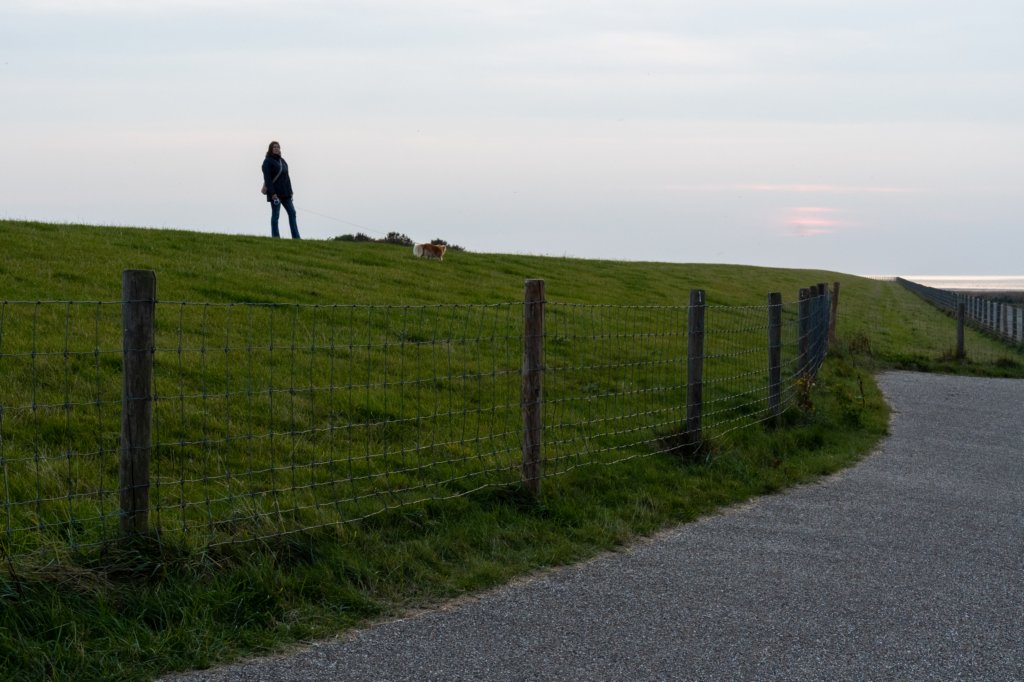 friesland_140.jpg