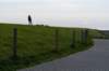 friesland_140_small.jpg