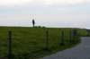 friesland_141_small.jpg