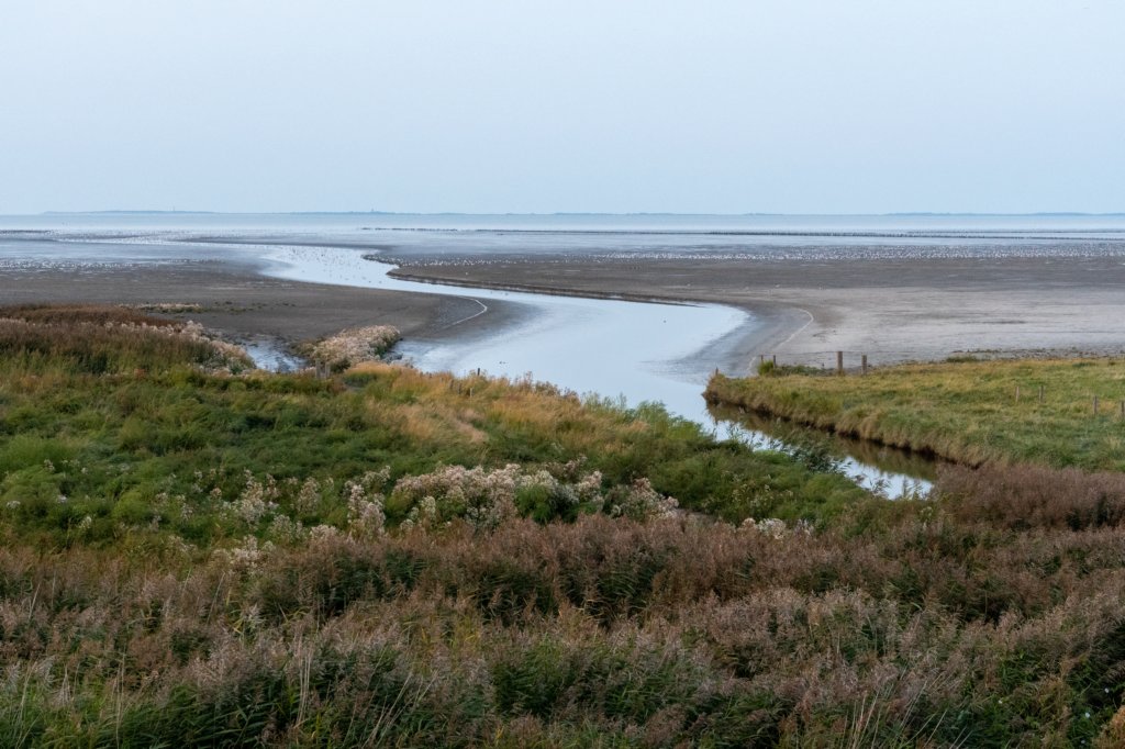 friesland_142.jpg