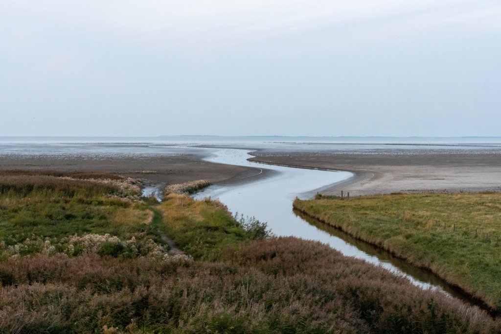 friesland_145.jpg