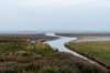 friesland_145_small.jpg