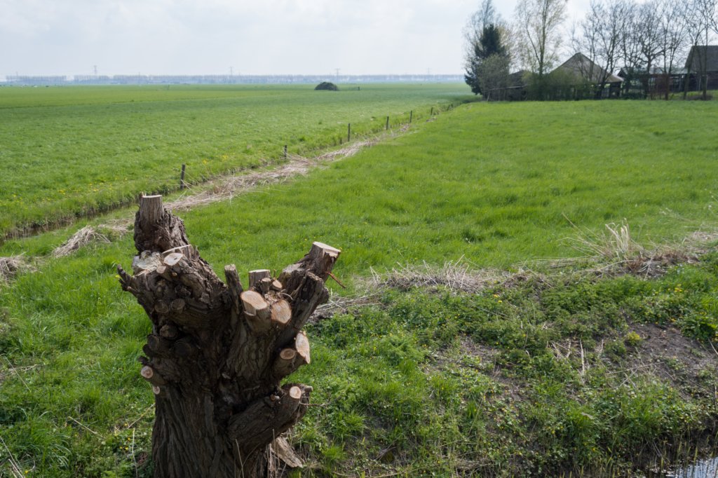 geinenvecht_002.jpg