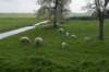 geinenvecht_005_small.jpg