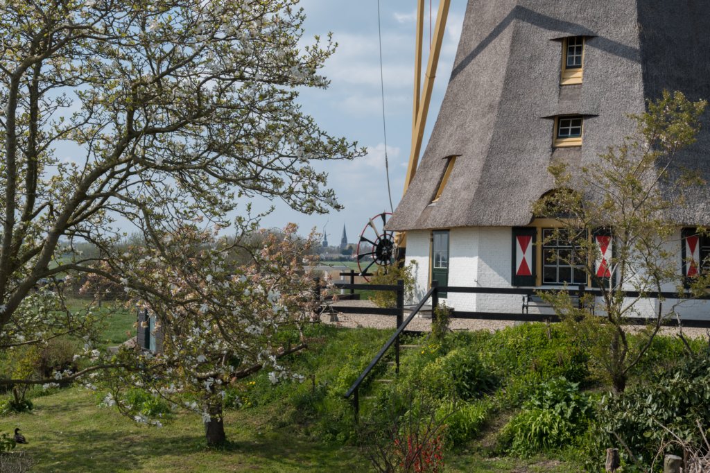 geinenvecht_011.jpg