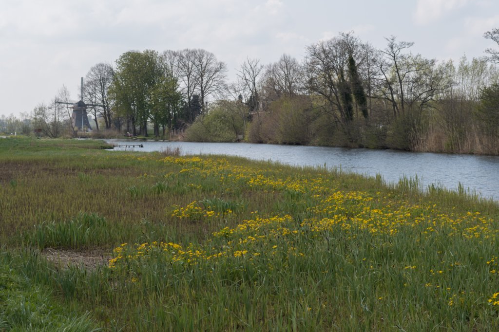 geinenvecht_018.jpg