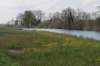 geinenvecht_018_small.jpg