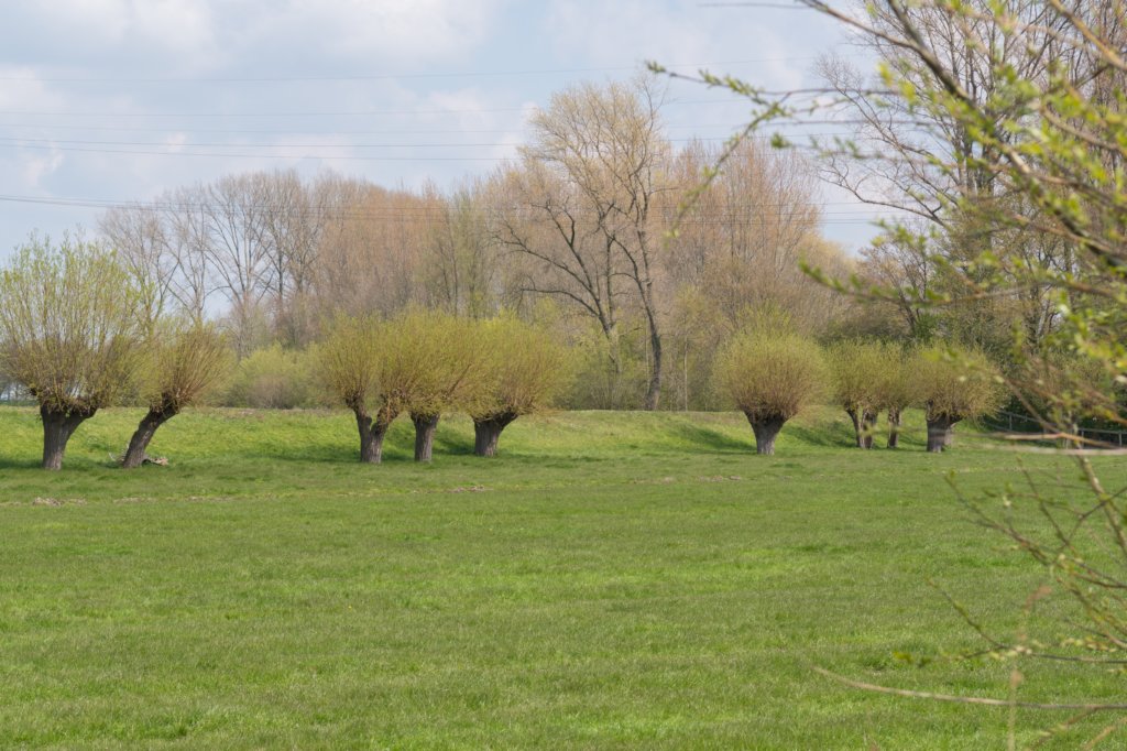 geinenvecht_034.jpg