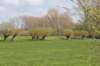 geinenvecht_034_small.jpg