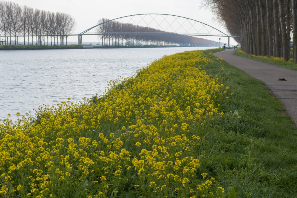 geinenvecht_038.jpg