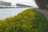 geinenvecht_038_small.jpg
