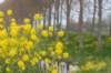 geinenvecht_040_small.jpg