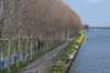 geinenvecht_049_small.jpg
