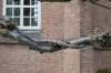 geinenvecht_065_small.jpg