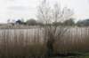 geinenvecht_068_small.jpg