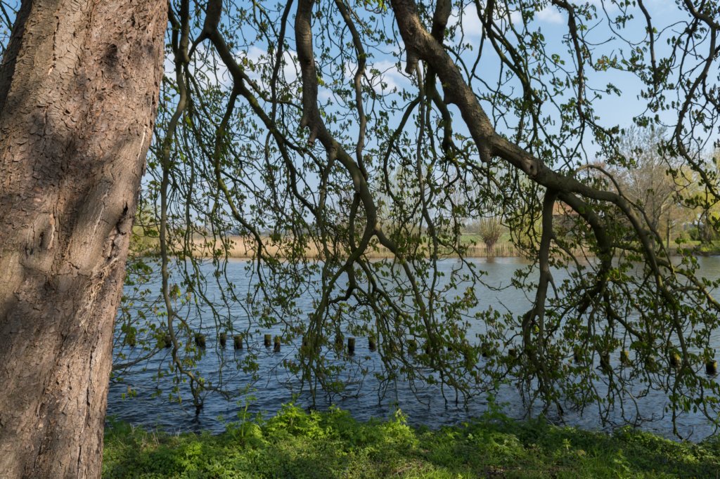 geinenvecht_071.jpg