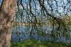 geinenvecht_071_small.jpg